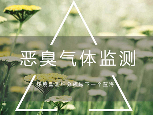 惡臭氣體監(jiān)測