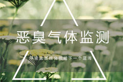 化工企業(yè)園區(qū)常見的惡臭氣體在線監(jiān)測應(yīng)該如何做？